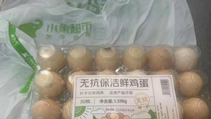 澳门马会传真免费资料大全,600元买猫470元托运收到尸体,决策资料解释落实_HarmonyOSV14.76