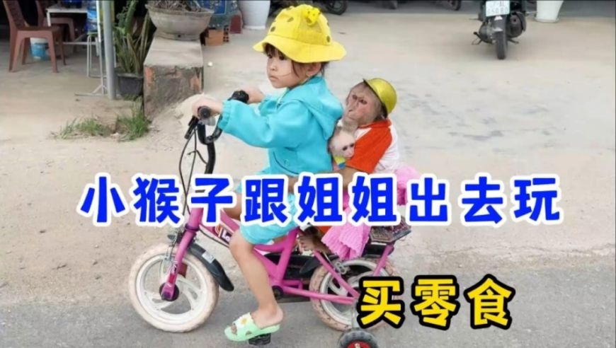 2025年澳门资料今晚开什么码,詹姆斯：退役前乔丹不会跟我说话,准确资料解释落实_视频版V1.54
